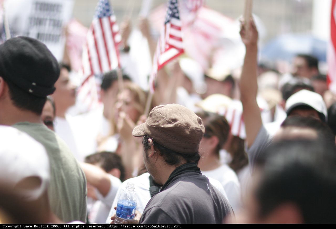 Patriotic Crowd