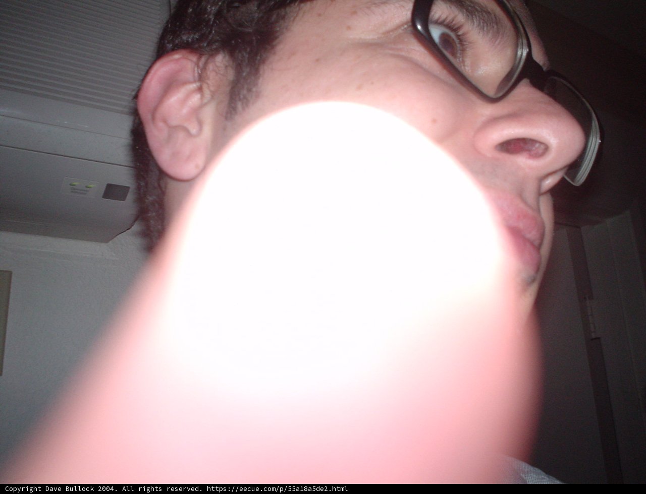 The Bespectacled Gentleman