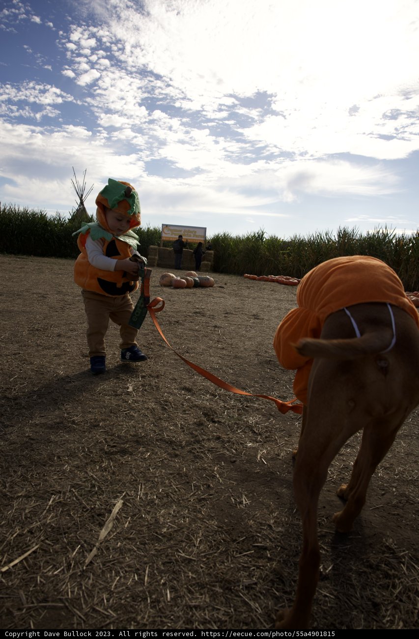 Tiny Pumpkin Prodigy and his Furry Friend