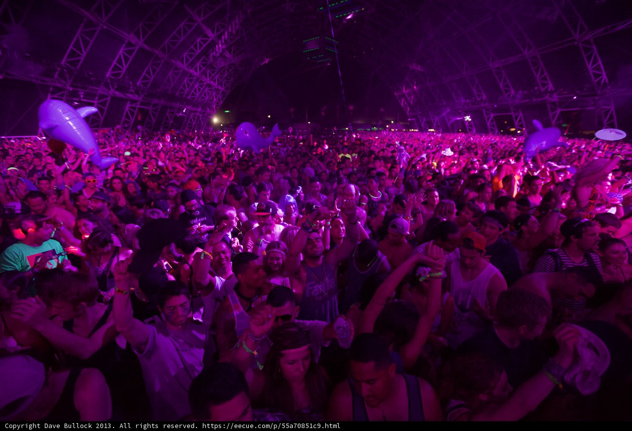 Purple Haze at Coachella