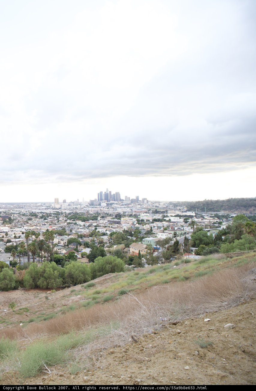 The Urban Horizon