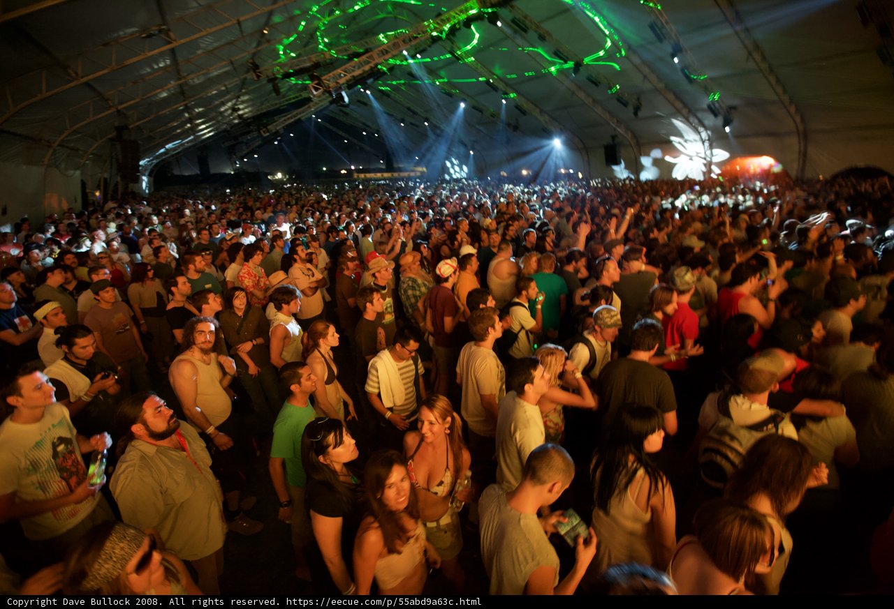 Coachella: Music Brings People Together