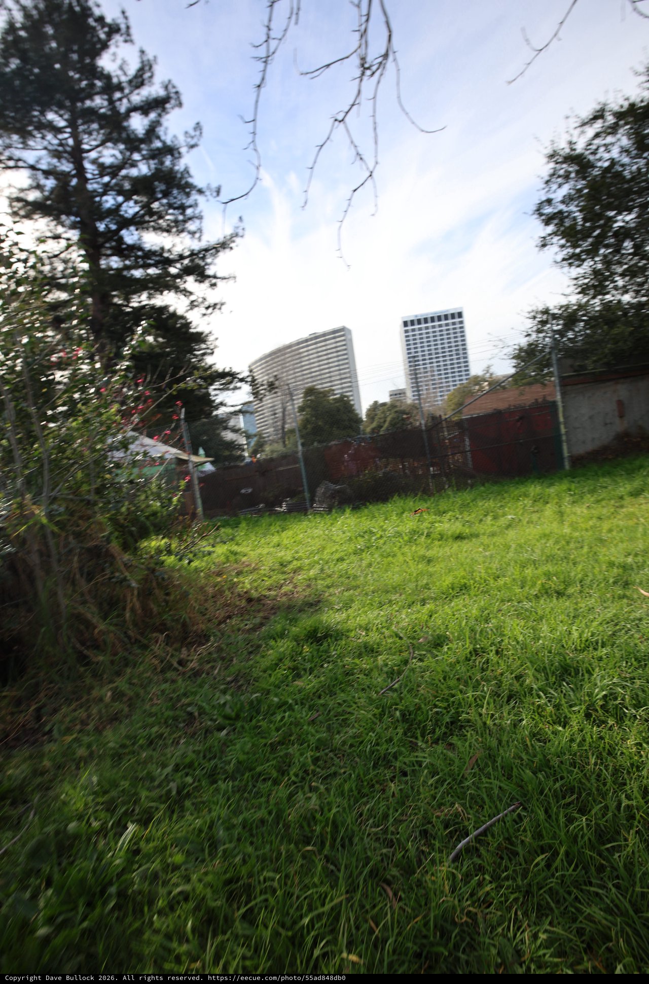 Urban Towers Rising Above Green Hillside Garden