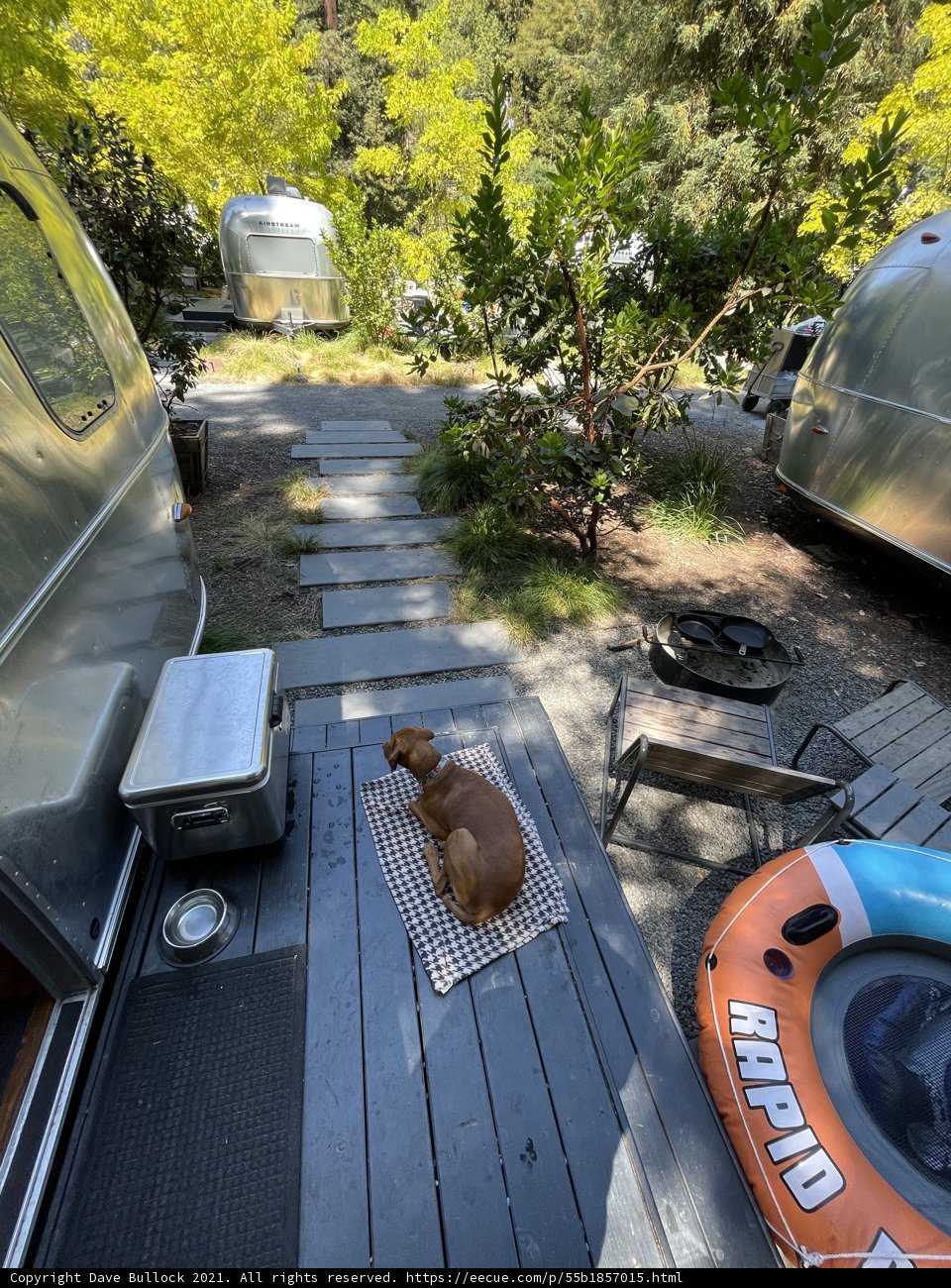 Canine Comforts on the Deck