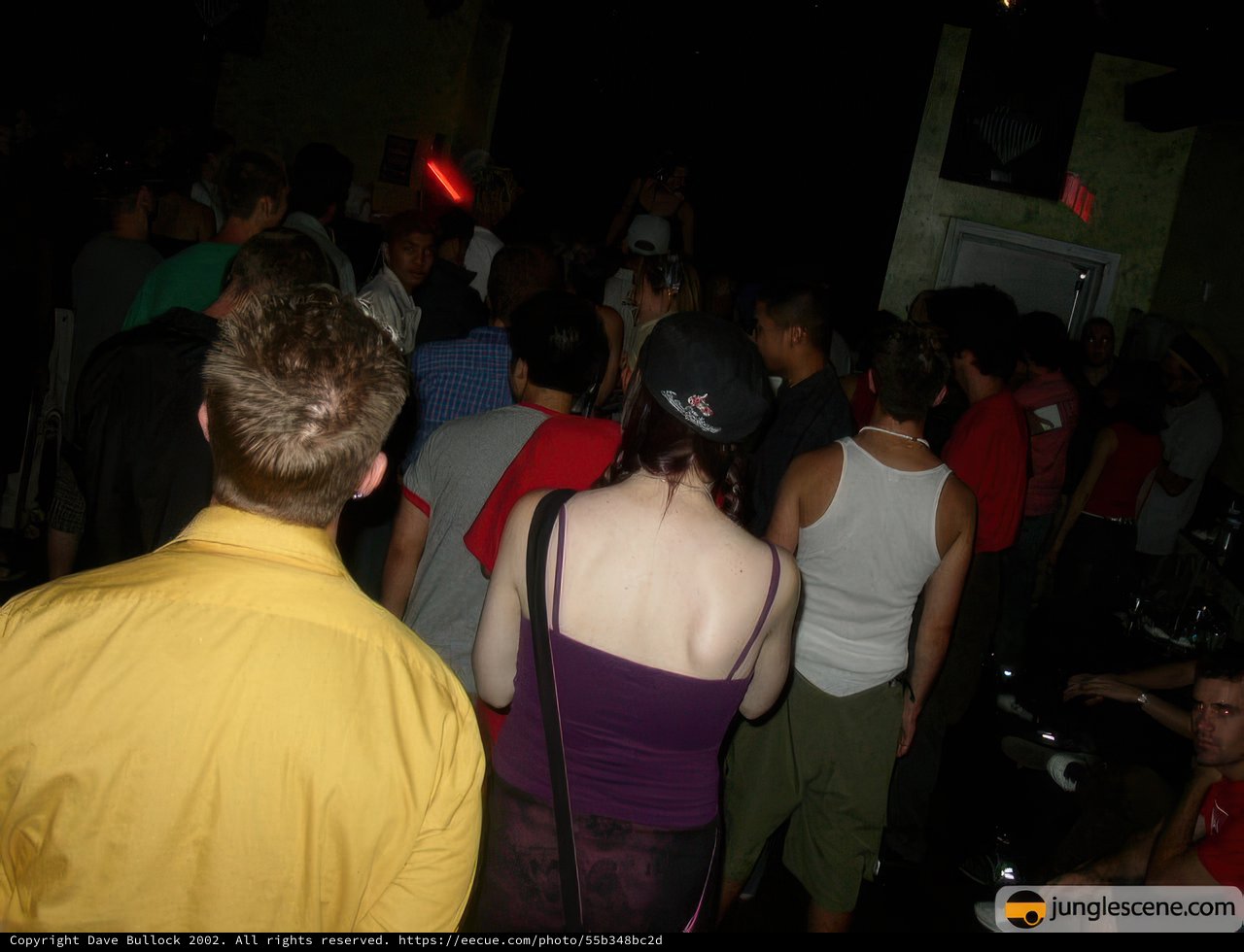 Nightclub Crowd Around Stage