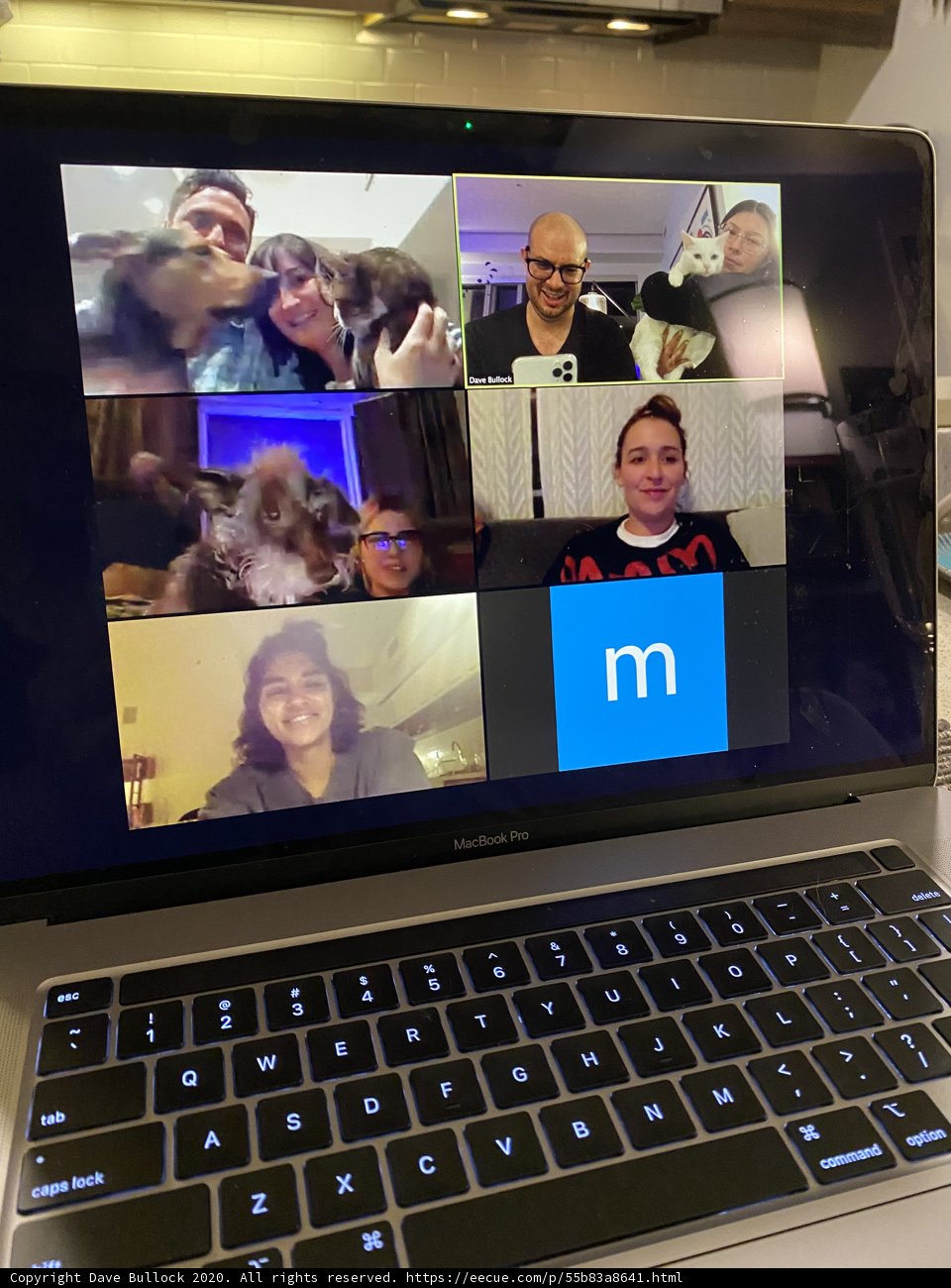 Collaborative Laptop Use