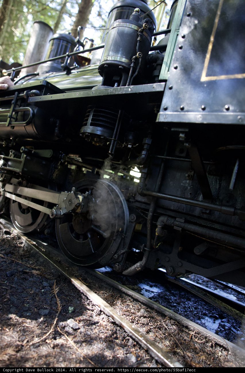 Might and Steam: Life on the Rails
