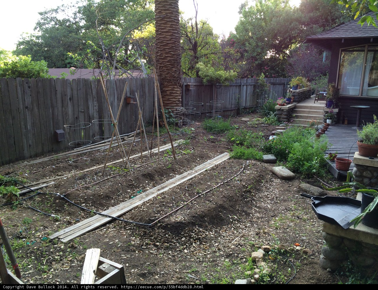 Serene Backyard Garden with Wooden Fence and Tree