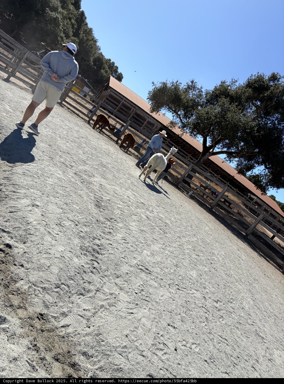 Weekend at the Ranch