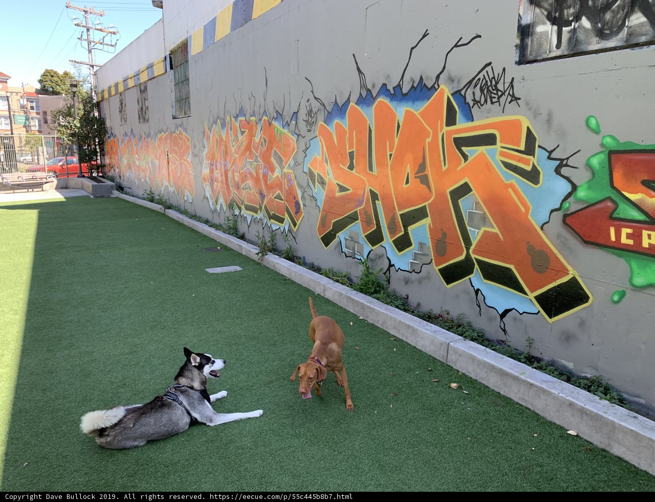 Graffiti and Playtime