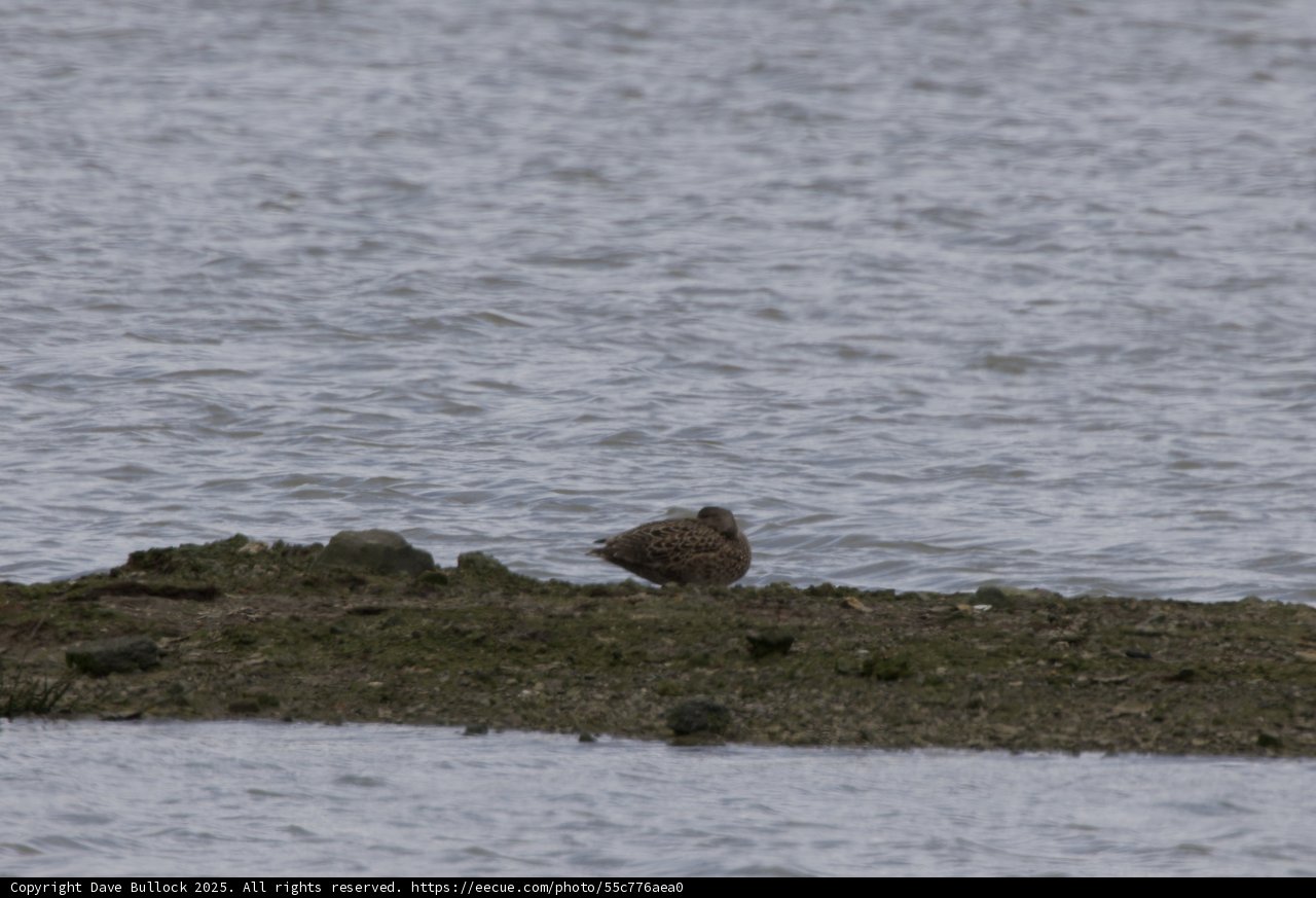 Resting at the Water’s Edge