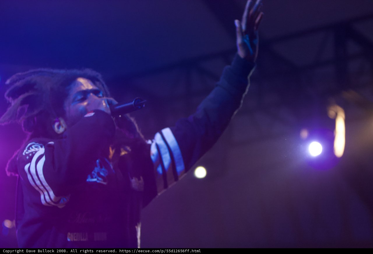 Electric Performance at Coachella