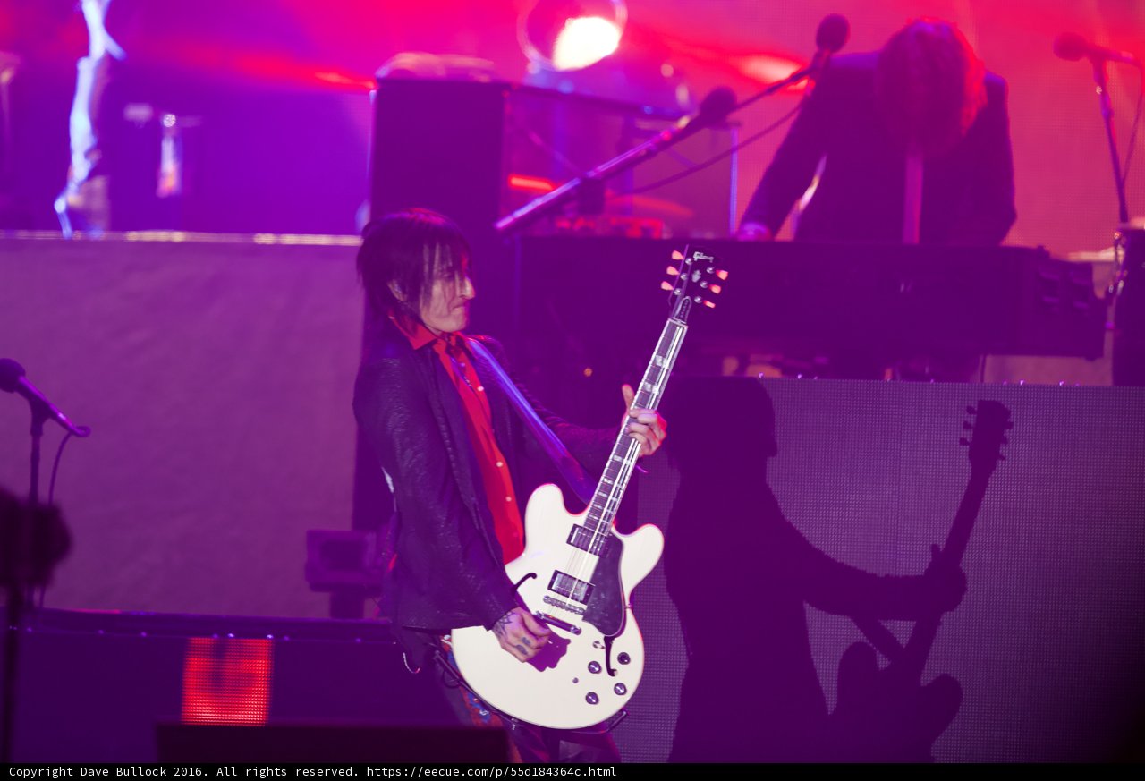 The Suit Serenade