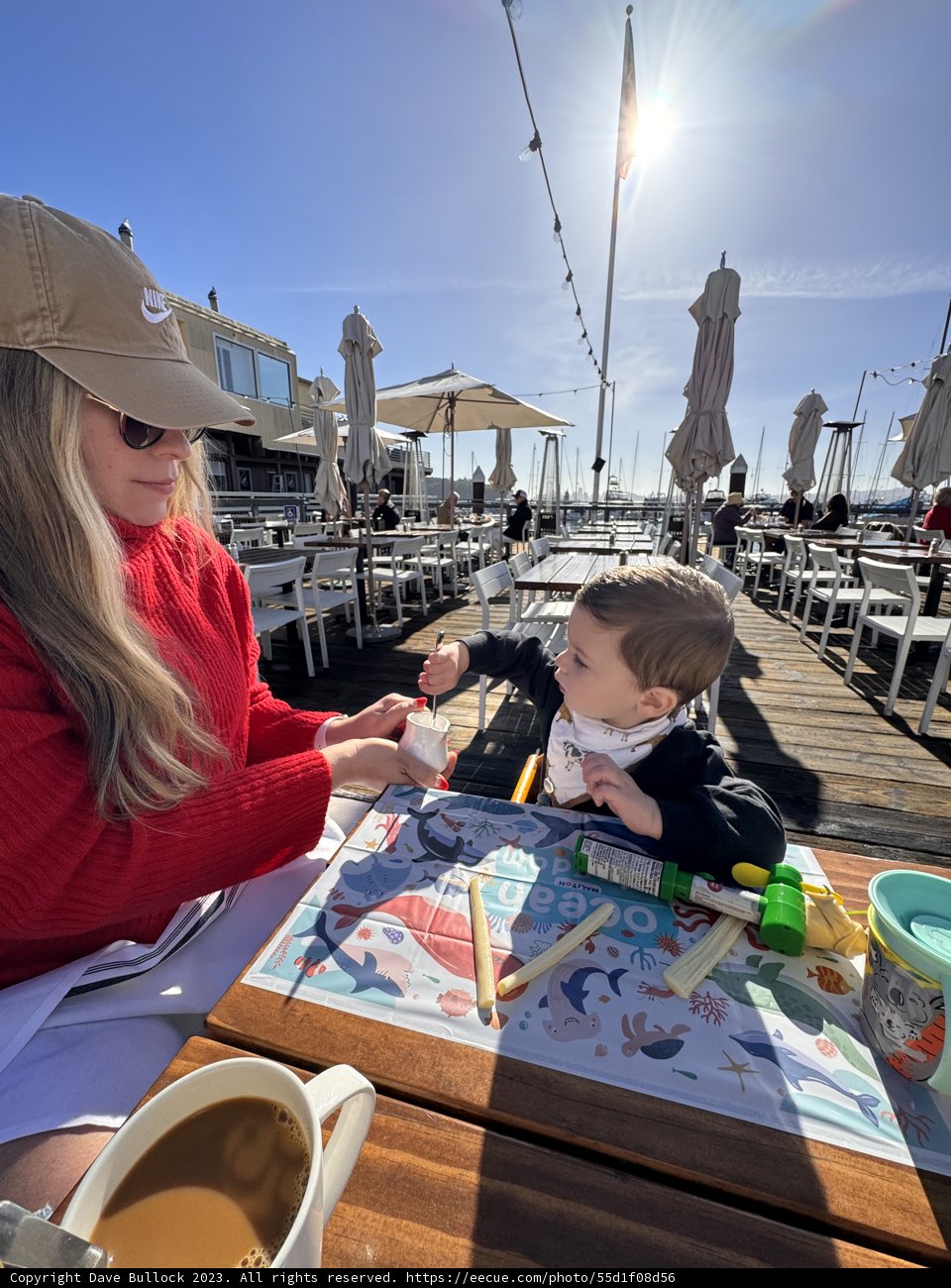 Basking in Belvedere: A Peaceful Lunch by the Waterfront