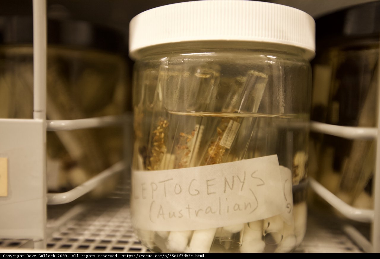 The Documented Jar