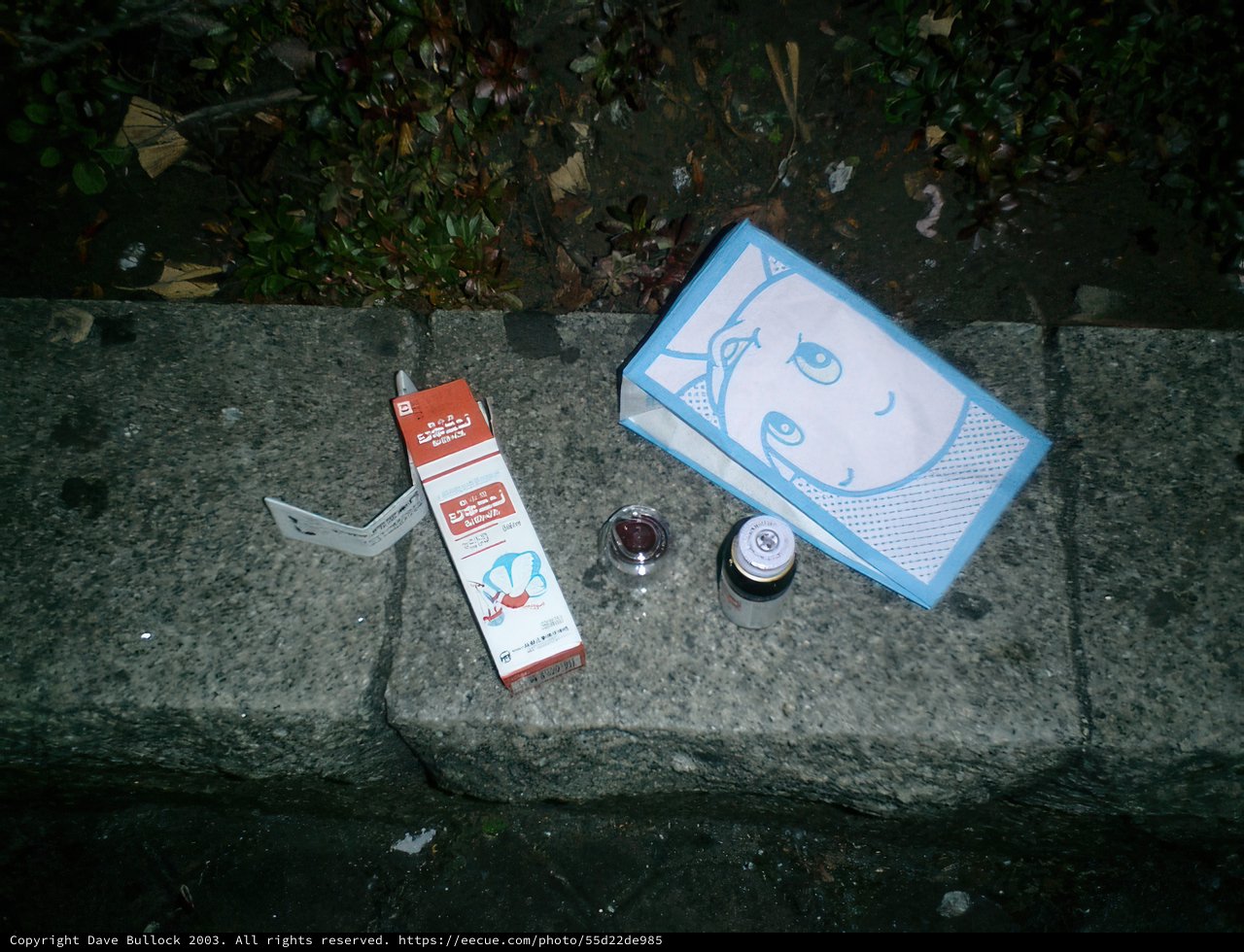 A Traveler's Essentials