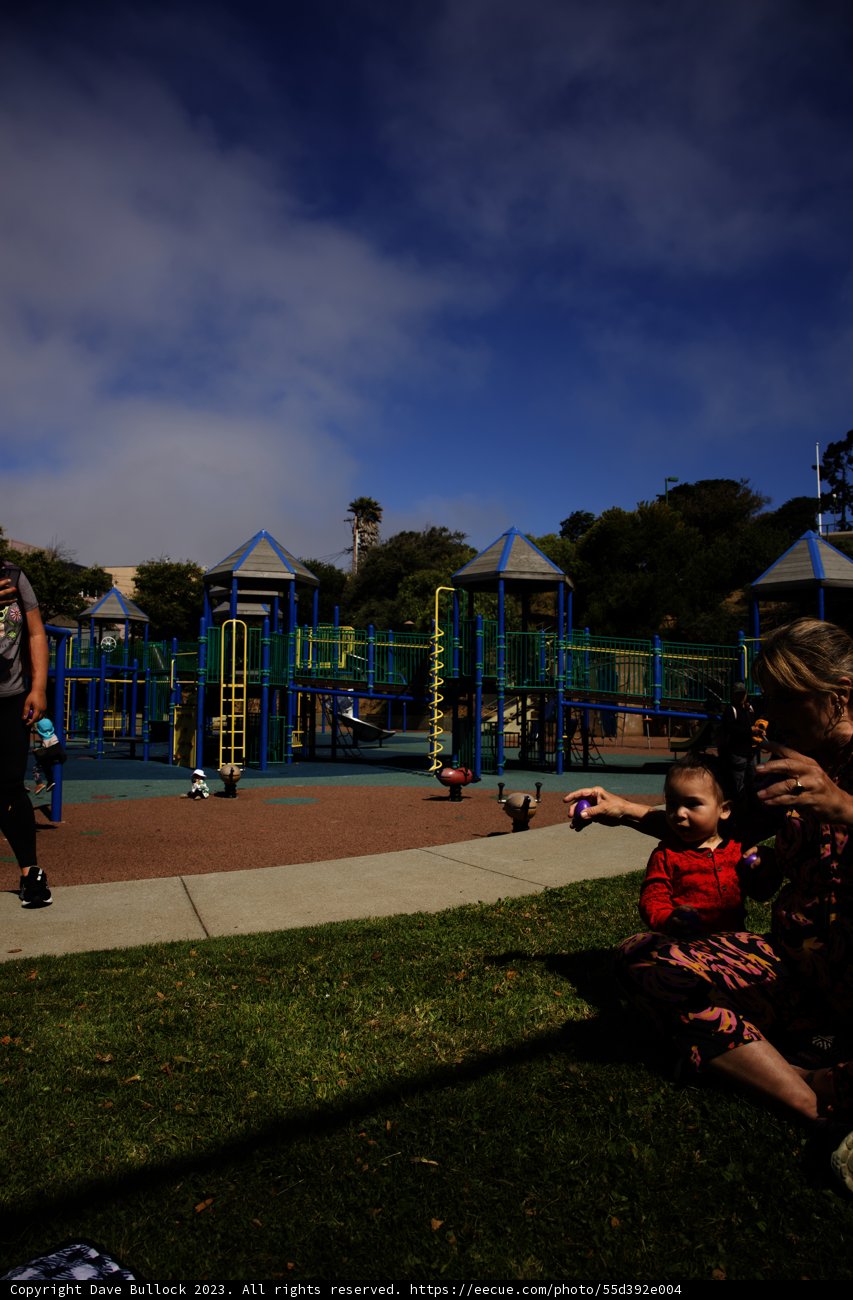 A Serene Morning in the Park: Celebrating Wesley's First Year