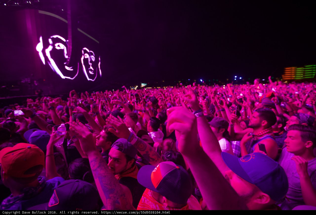 Wild Night at Coachella