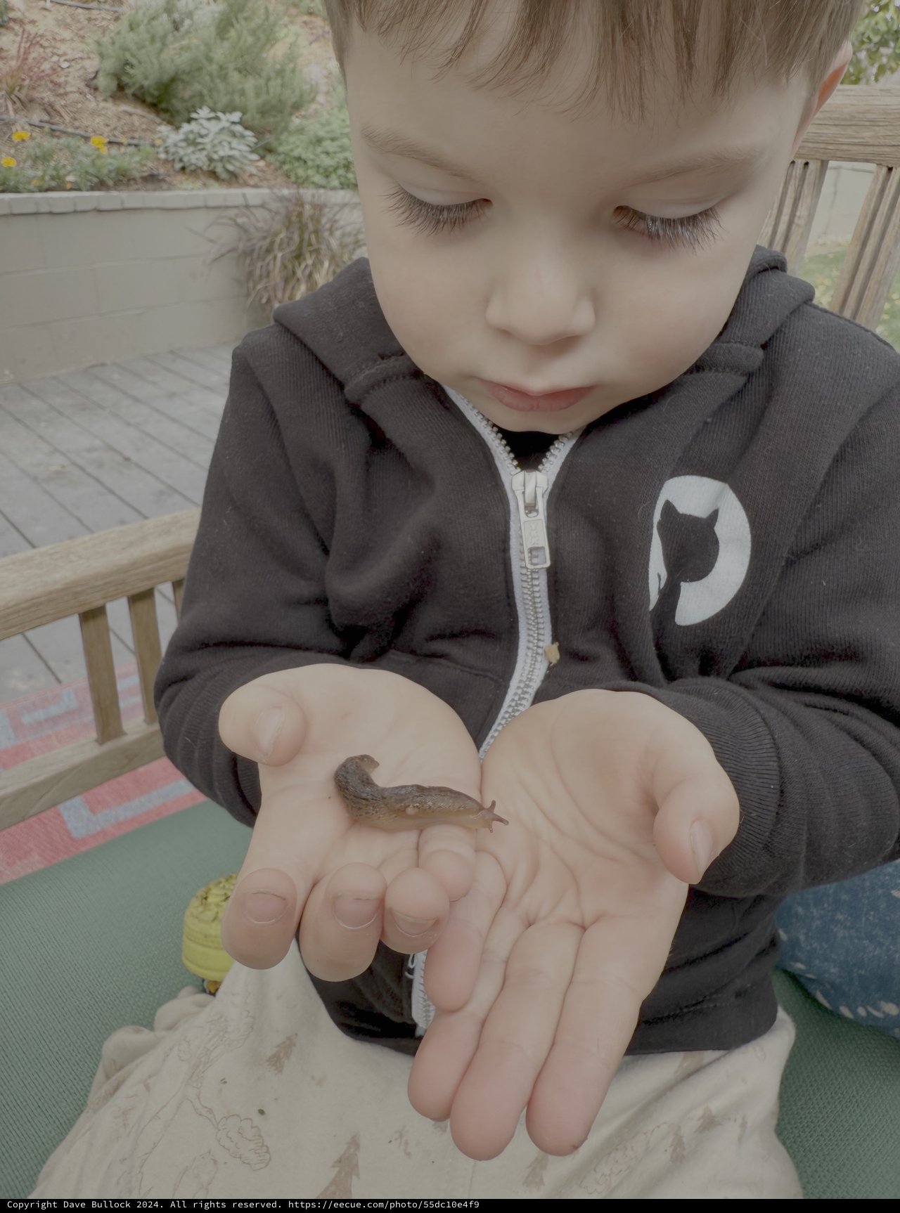 Child Gently Observing Small Slug in Hands