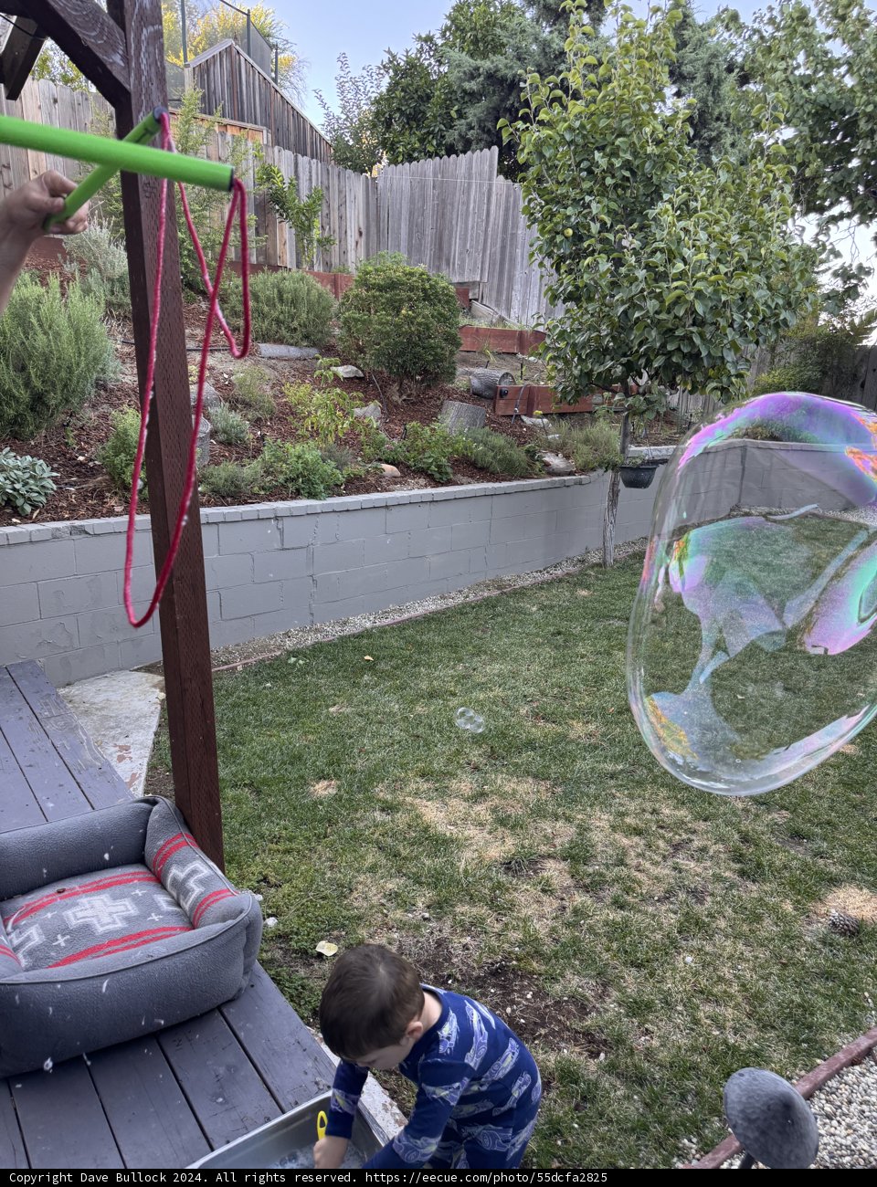 Summer Bubble Play