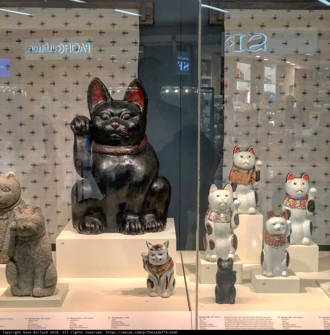 Feline Figurines in a Window Display