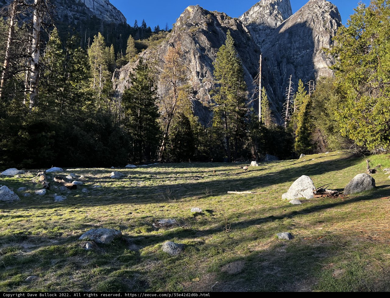 Majestic Mountain View