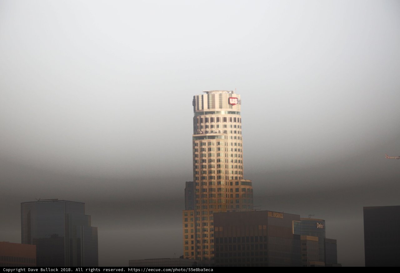 Foggy Metropolis