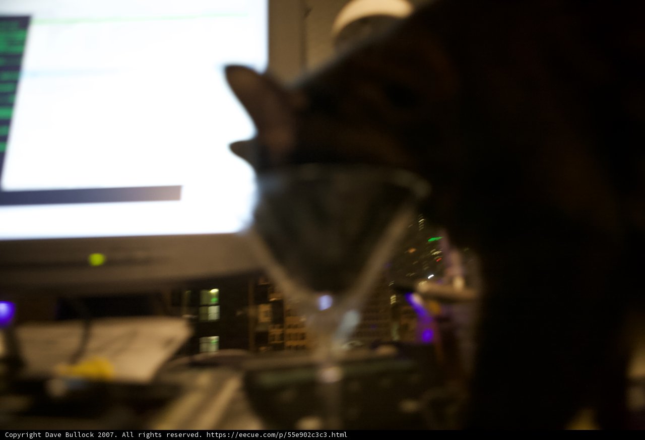 Feline Mixology
