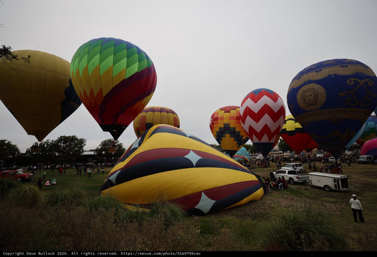 Colorful Hot Air Balloons Fill the Sky at Festival
