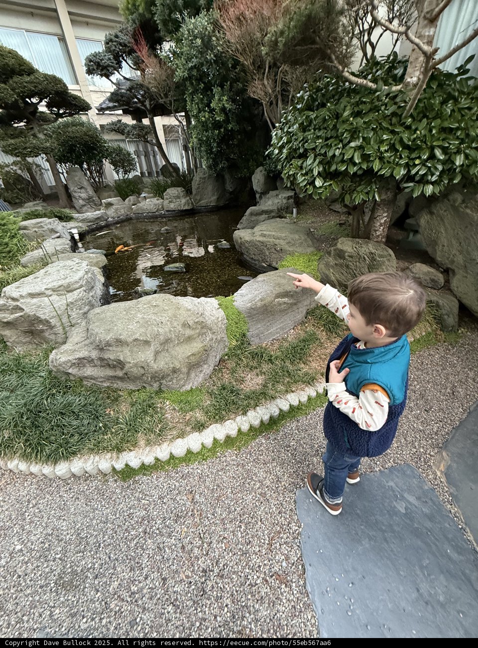 Discovering Nature's Wonders