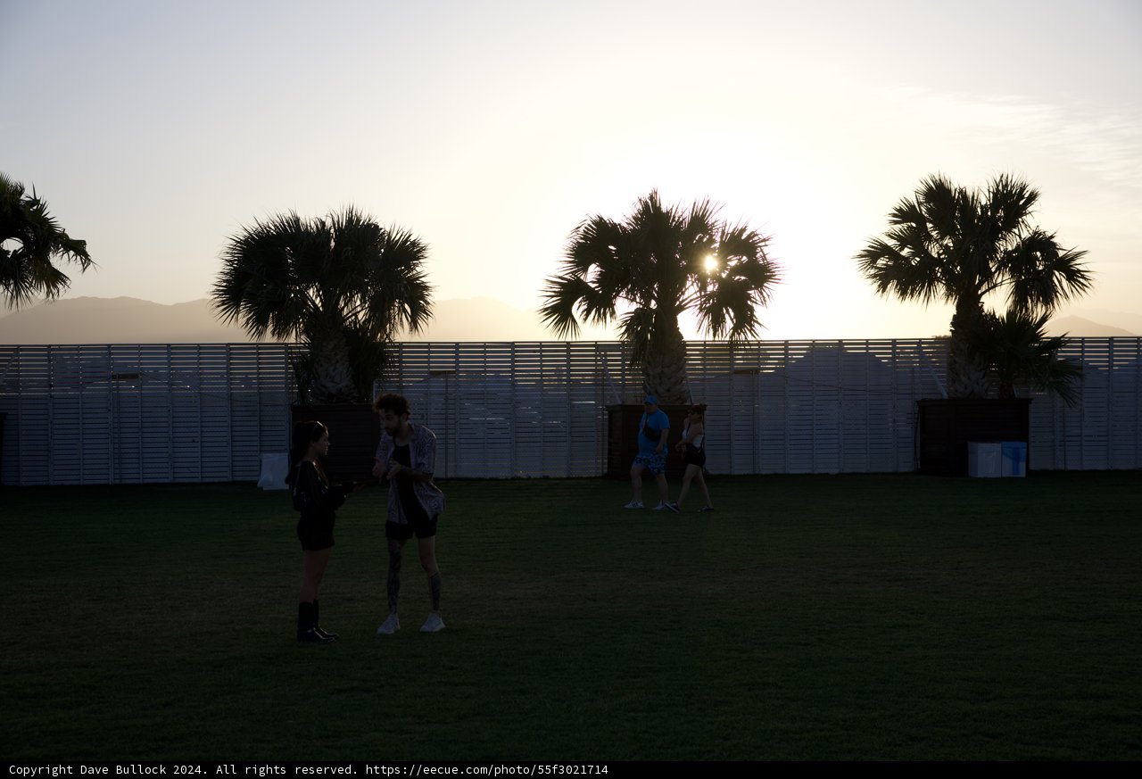 Sunset Silhouettes at Coachella 2024