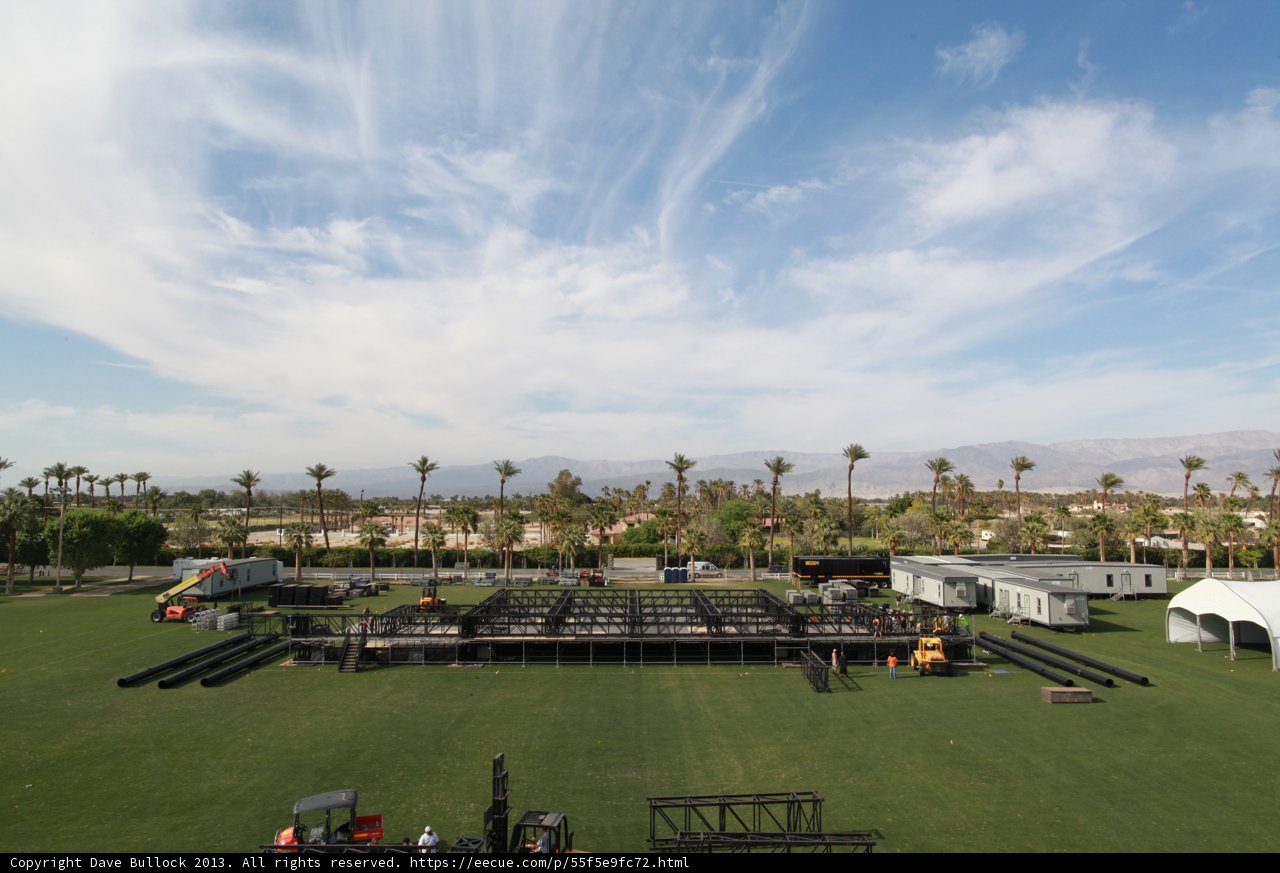 The Festival Field