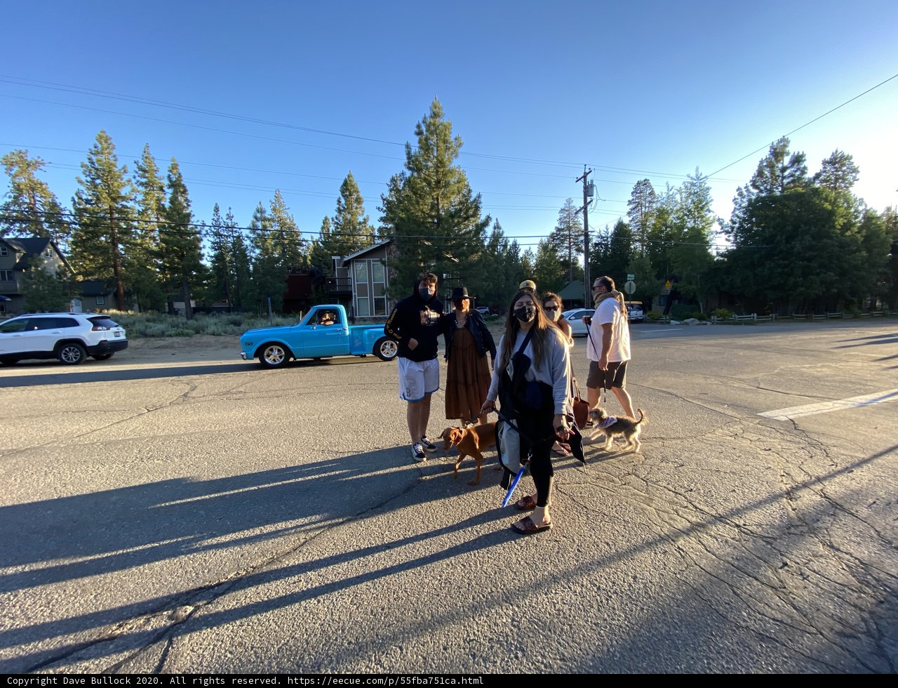 Four People and Their Furry Companion Take a Stroll in the Tahoe Wilderness