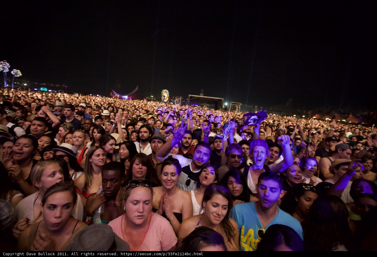 Night Sky Concert Crowd