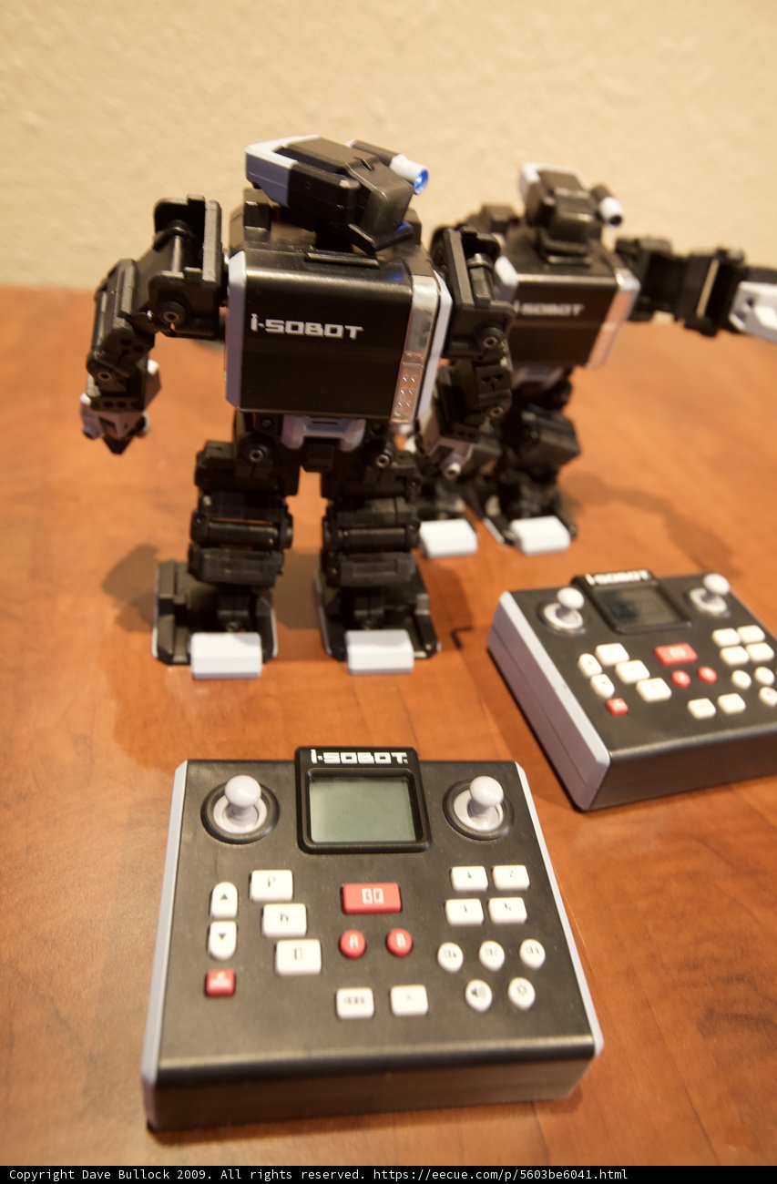 Robotic Playmates on Hardwood Flooring