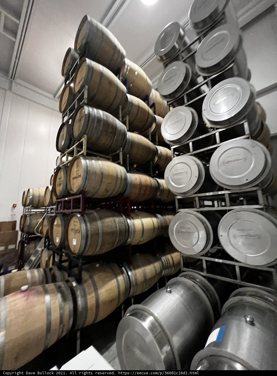 The Cellar of Wine Barrels