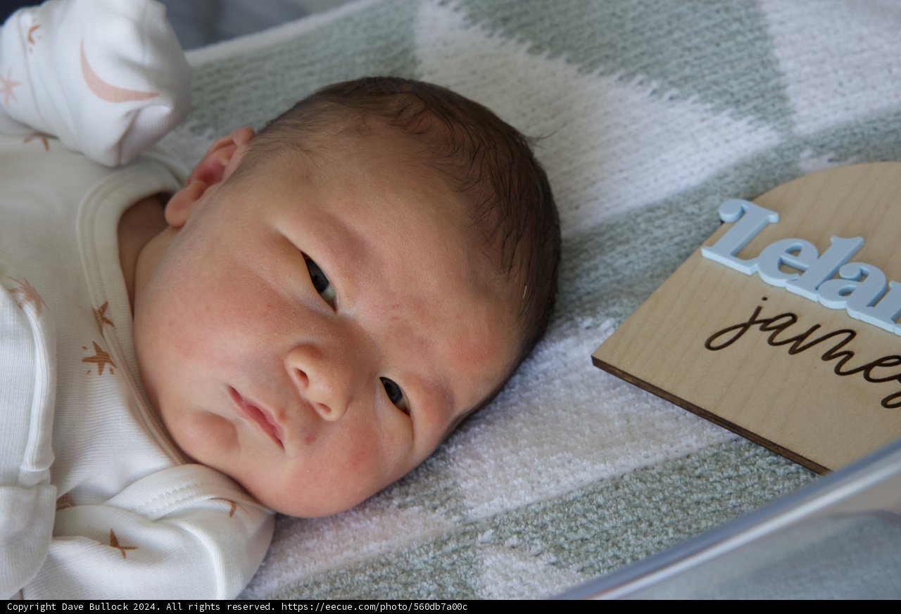 Welcome to the World, Leland