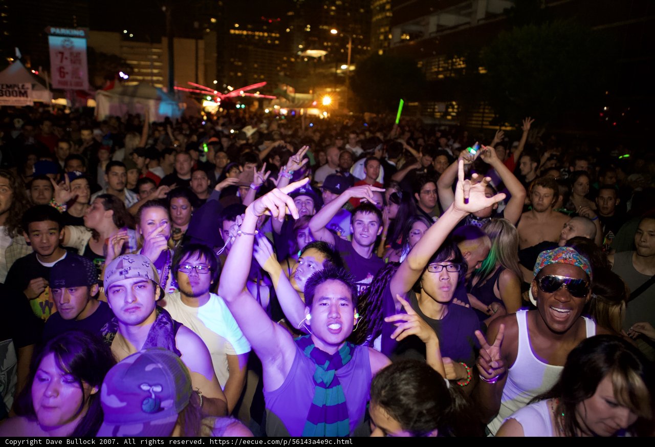 Nocturnal Beats: The Vivid Crowd's Rave
