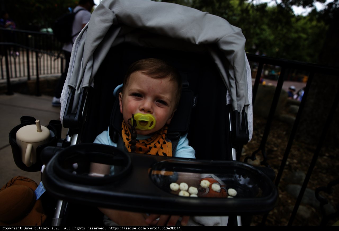 Baby's Day Out at Disneyland