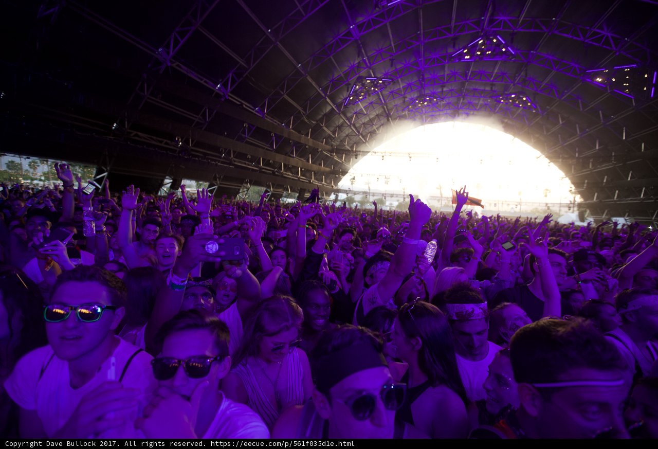Purple Haze at Coachella