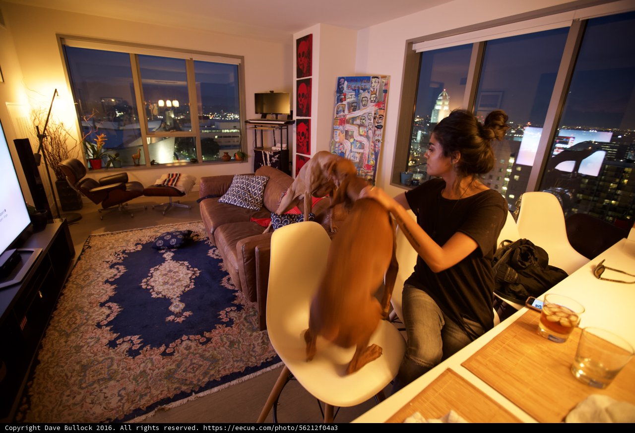 Relaxing in the Living Room