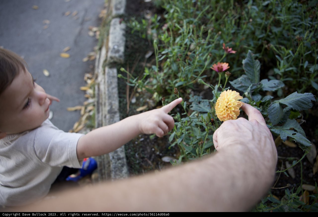 A Boy's Discovery in Nature