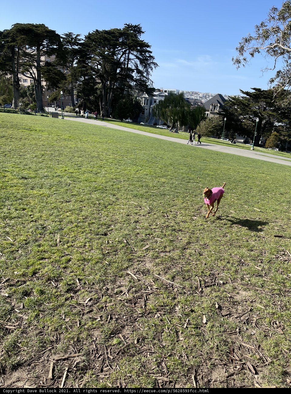 Playtime in the Park