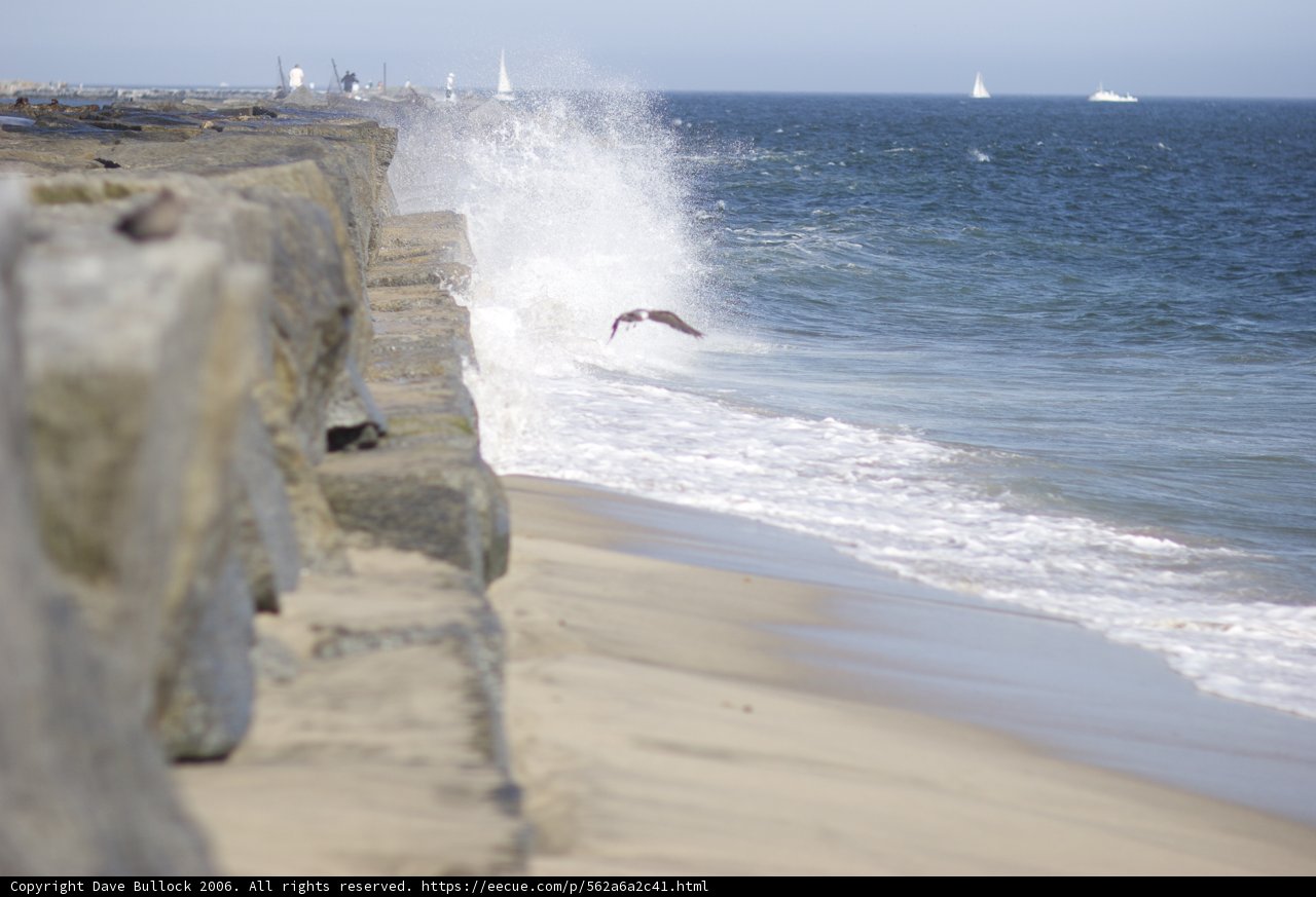 Riding the Waves