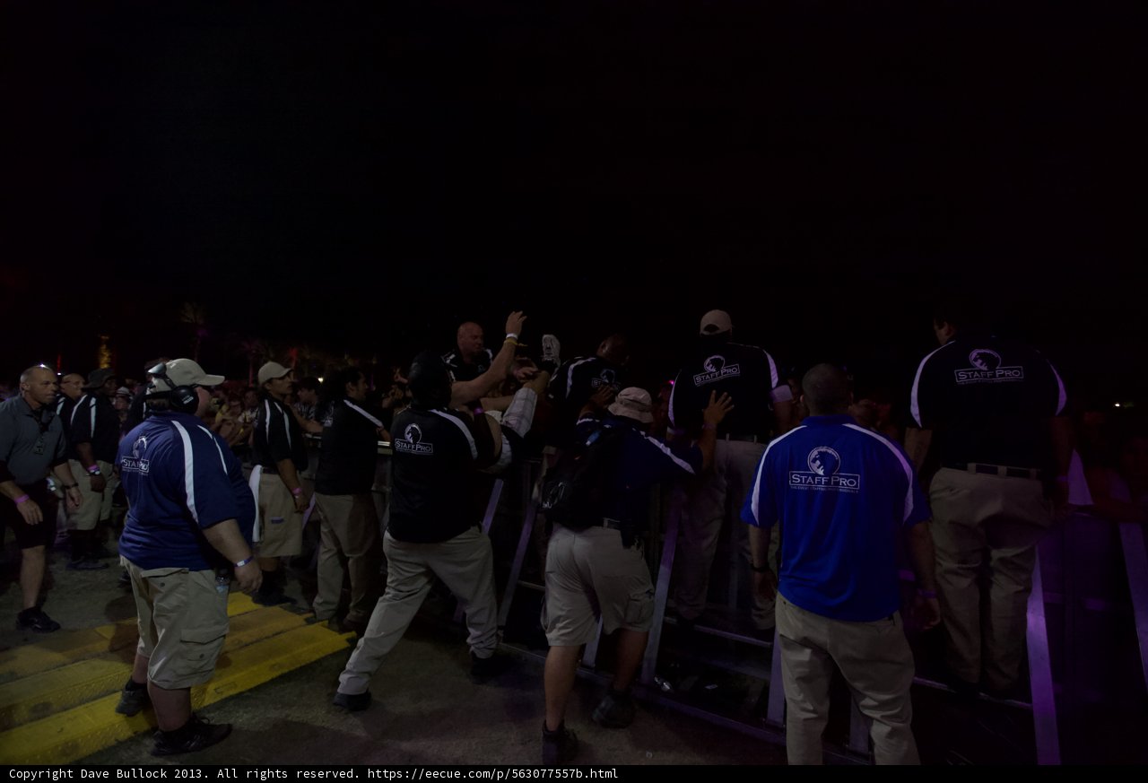 Nighttime Gathering