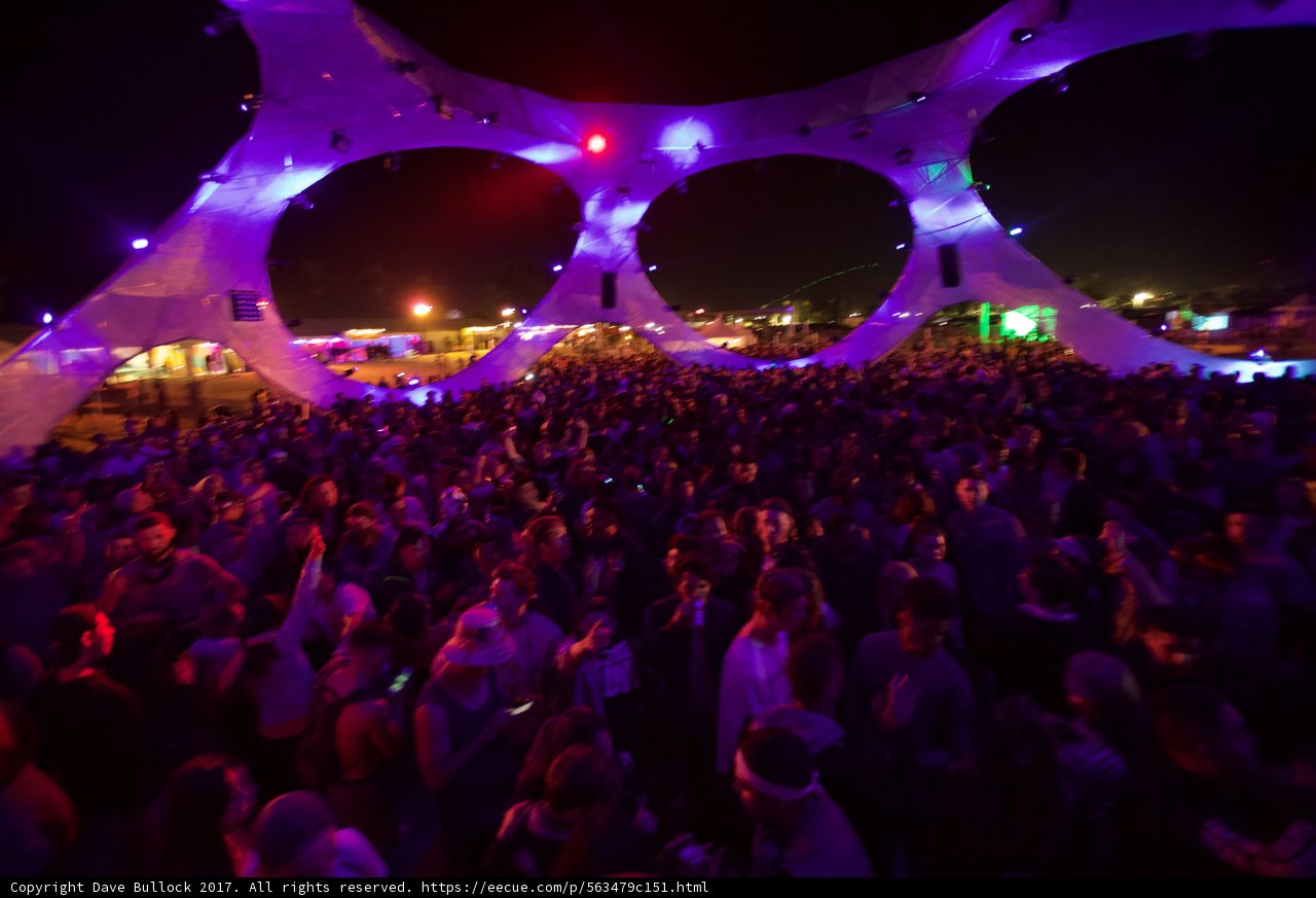 Purple Haze at Coachella