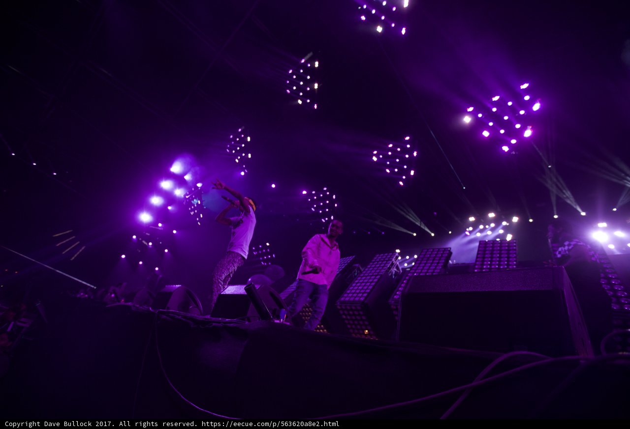 Purple Spotlight