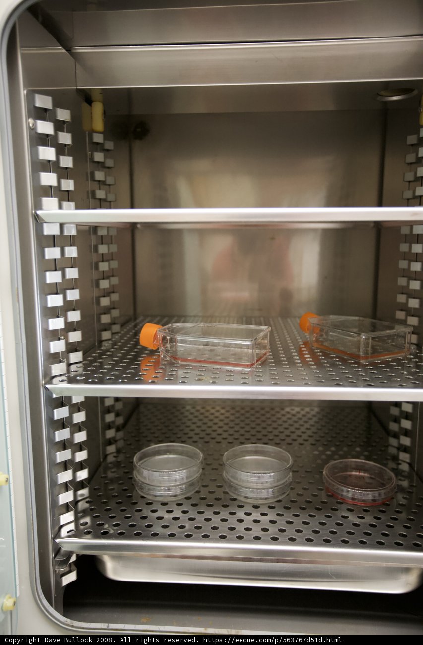 Stainless Steel Fridge Stocked with Food