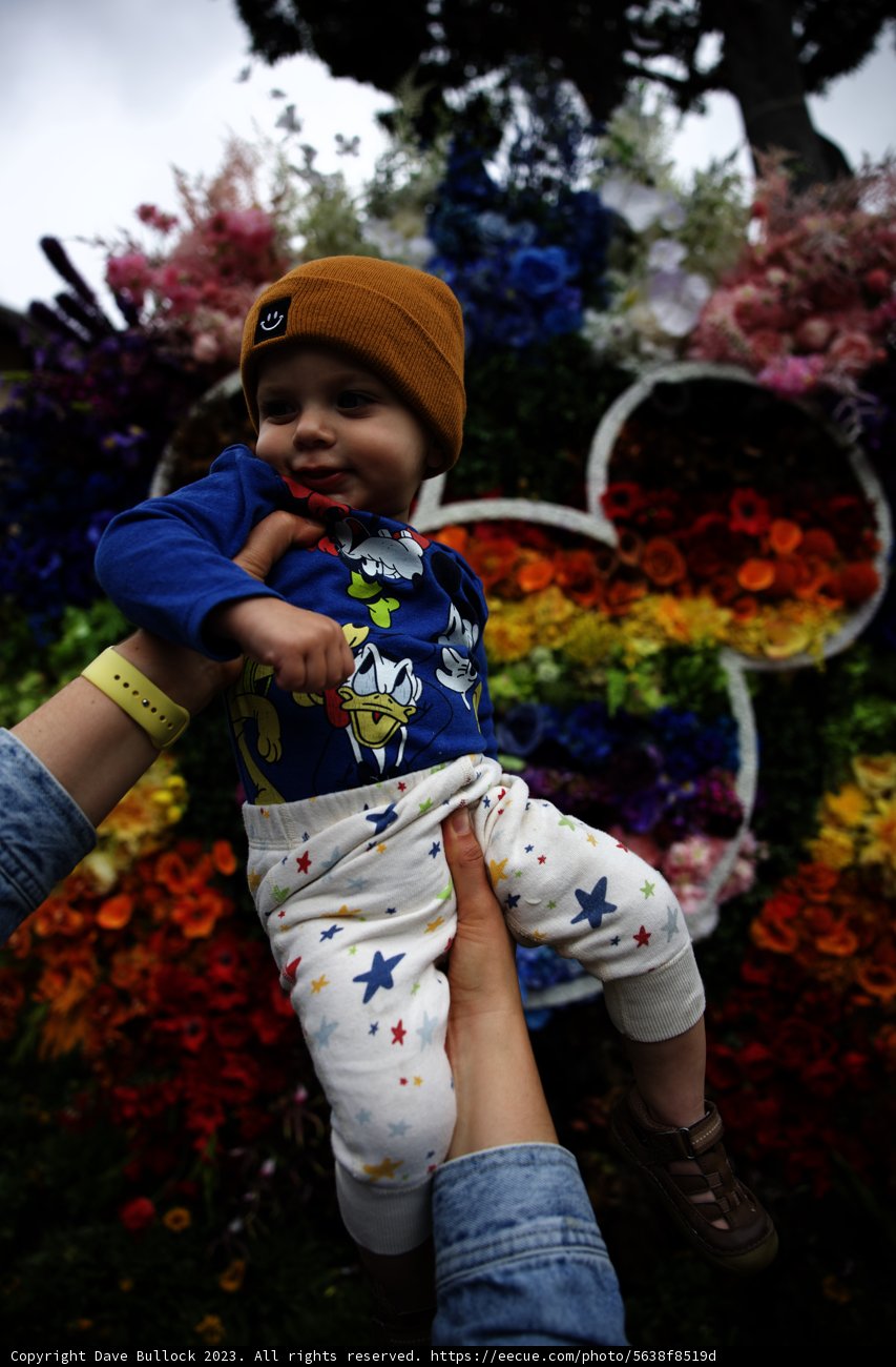 Blooming Moments at Disneyland