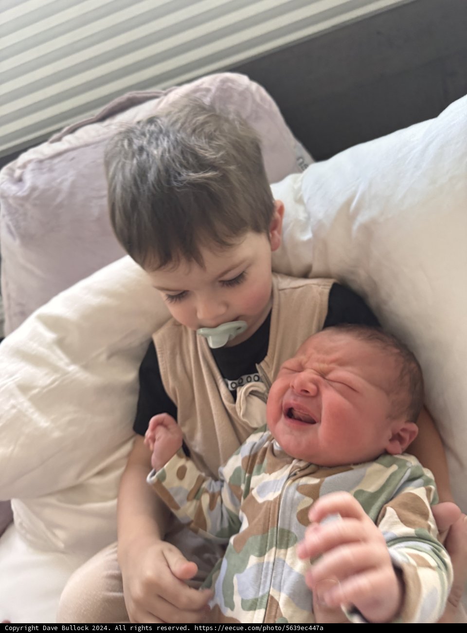 Brotherly Bonds at Home